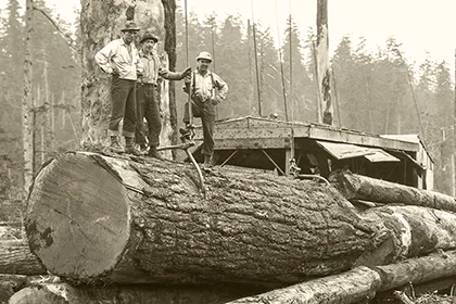 Vintage logging photo showing three loggers standing atop a log after loading on a rail car